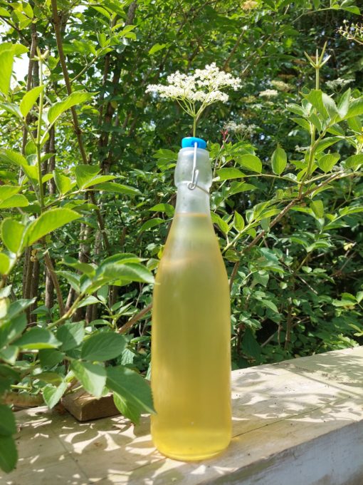 sirop de sureau