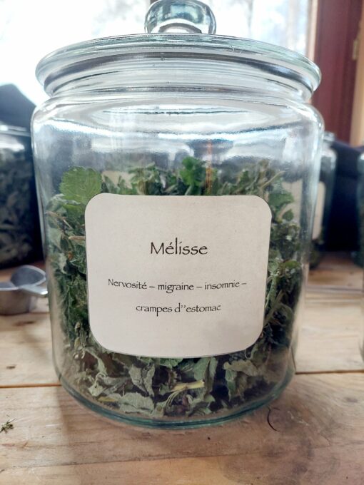 Melisse séchée